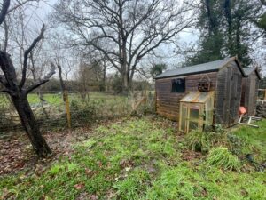 Making space for nature, Gemma Lovegrove