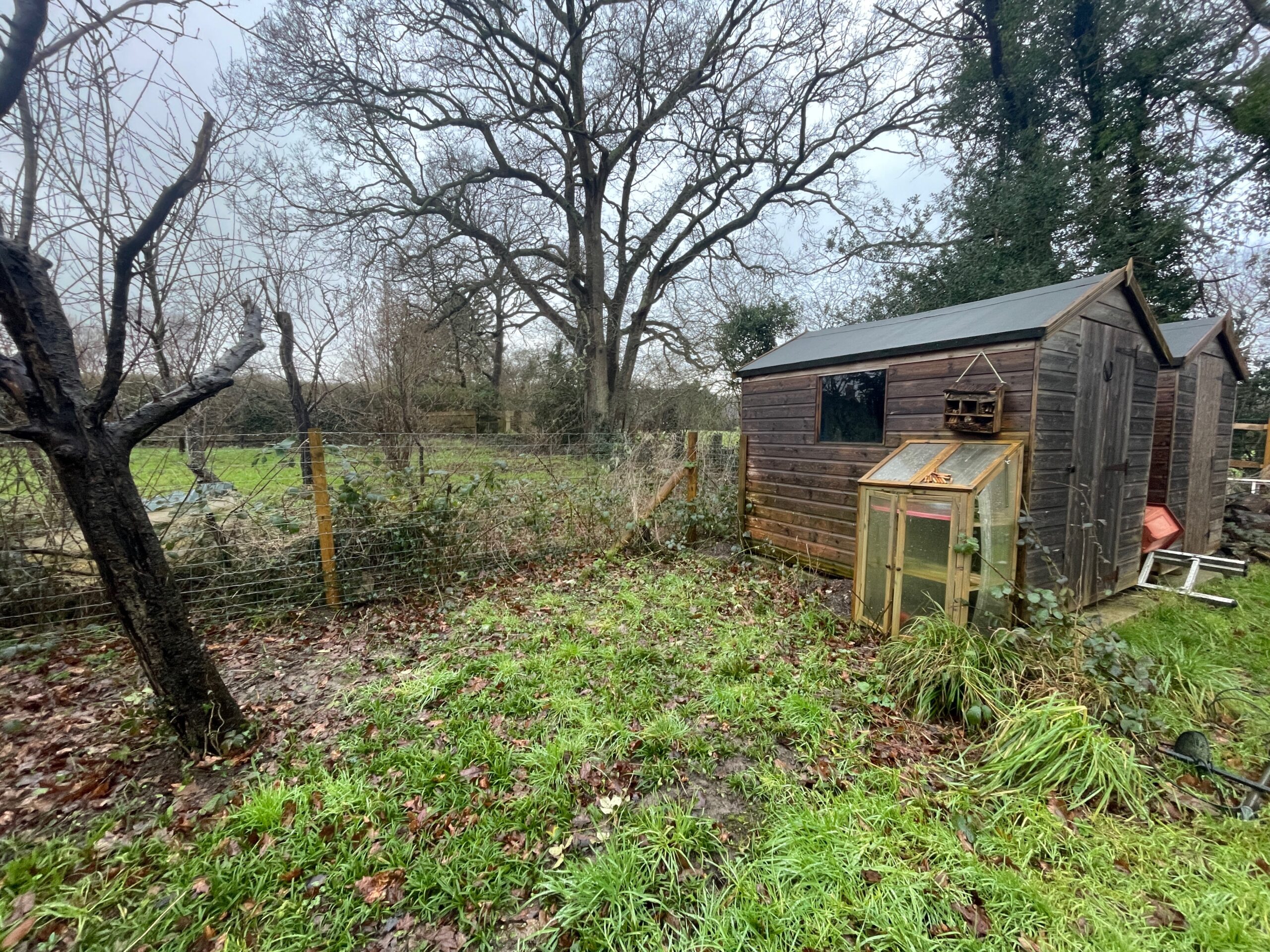 Making space for nature, Gemma Lovegrove