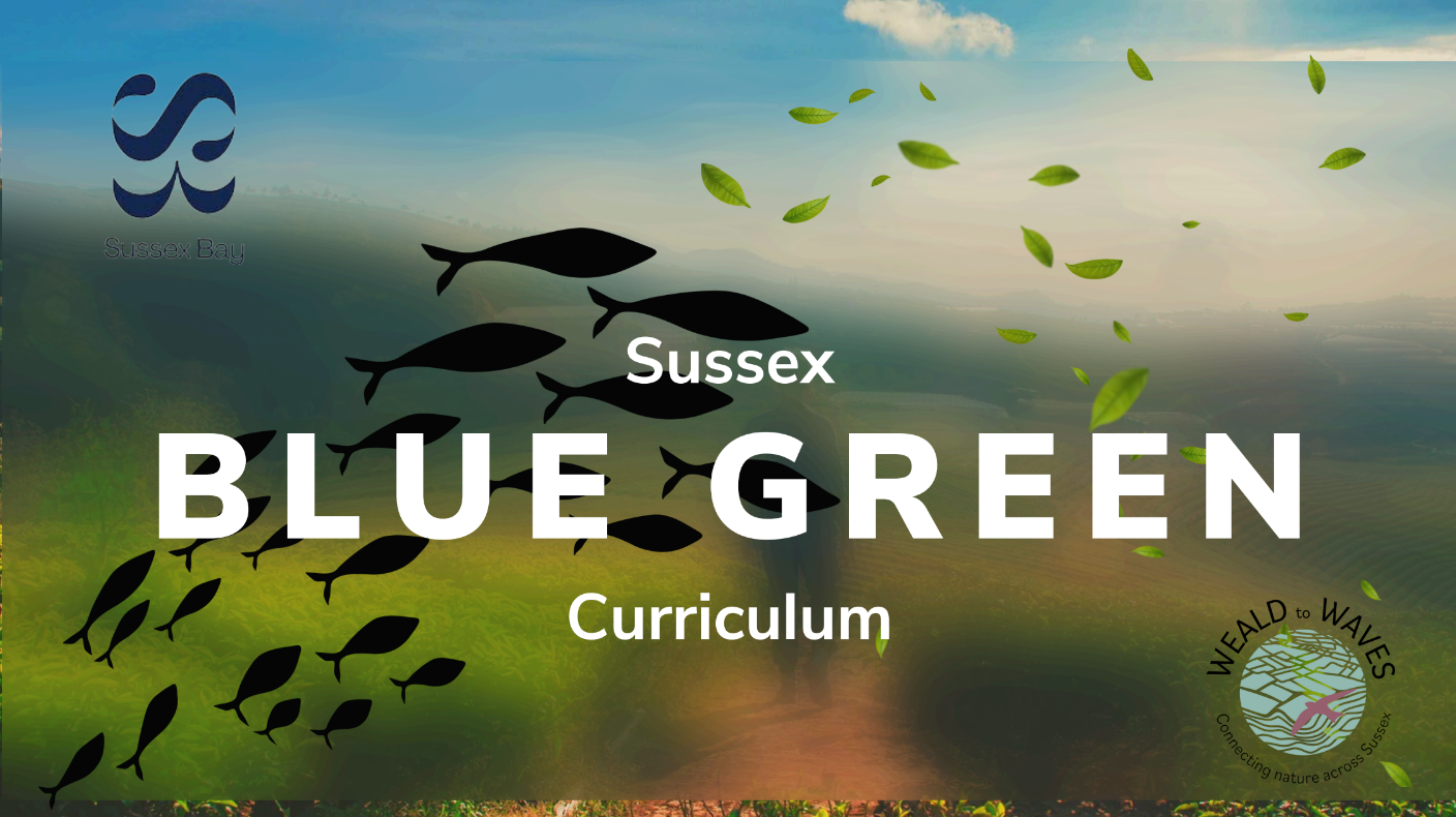 Sussex Blue Green Curriculum