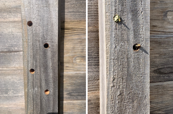 Bee hotel, by Gareth Williams