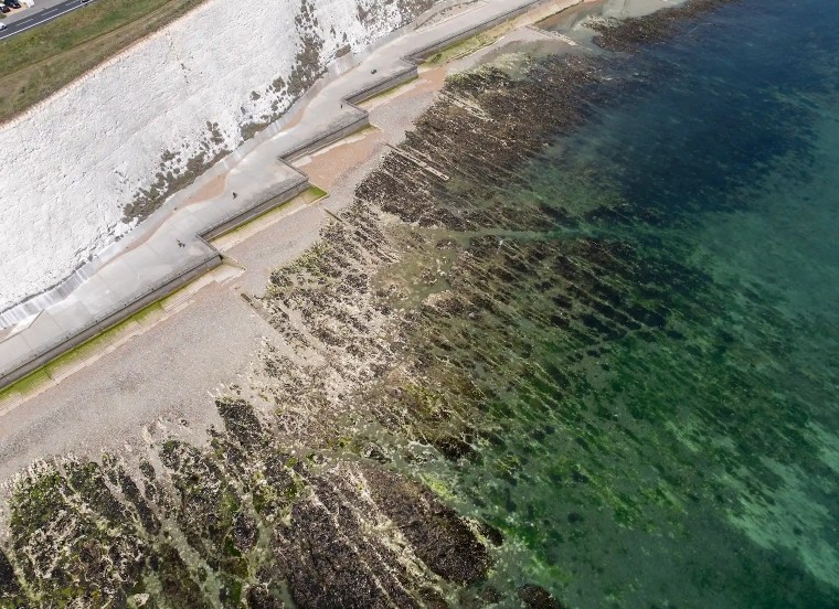 Brighton chalk reef © Clive Shalice / Locate Productions / Sussex Bay