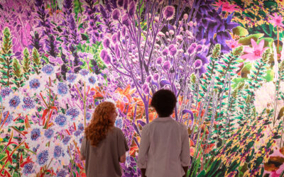 More Than Human Landscapes