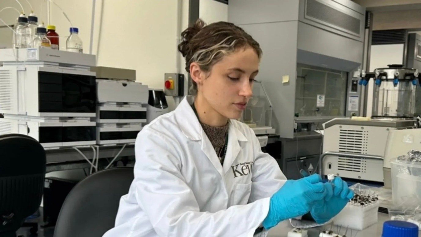 One of the pollination scientists, Miranda in the lab © RBG Kew One of the pollination scientists, Miranda in the lab © RBG Kew