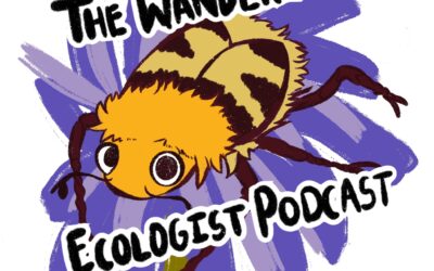 Our Must Listen: The Wandering Ecologist with Penny Green