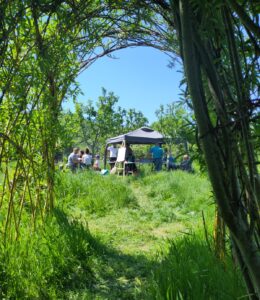 Greening Steyning Downland Community Orchard even 10 May 2025 Greening Steyning Downland Community Orchard even 10 May 2025
