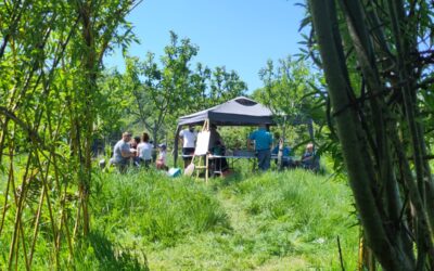 Weald to Waves and Partners: Championing nature recovery across Sussex
