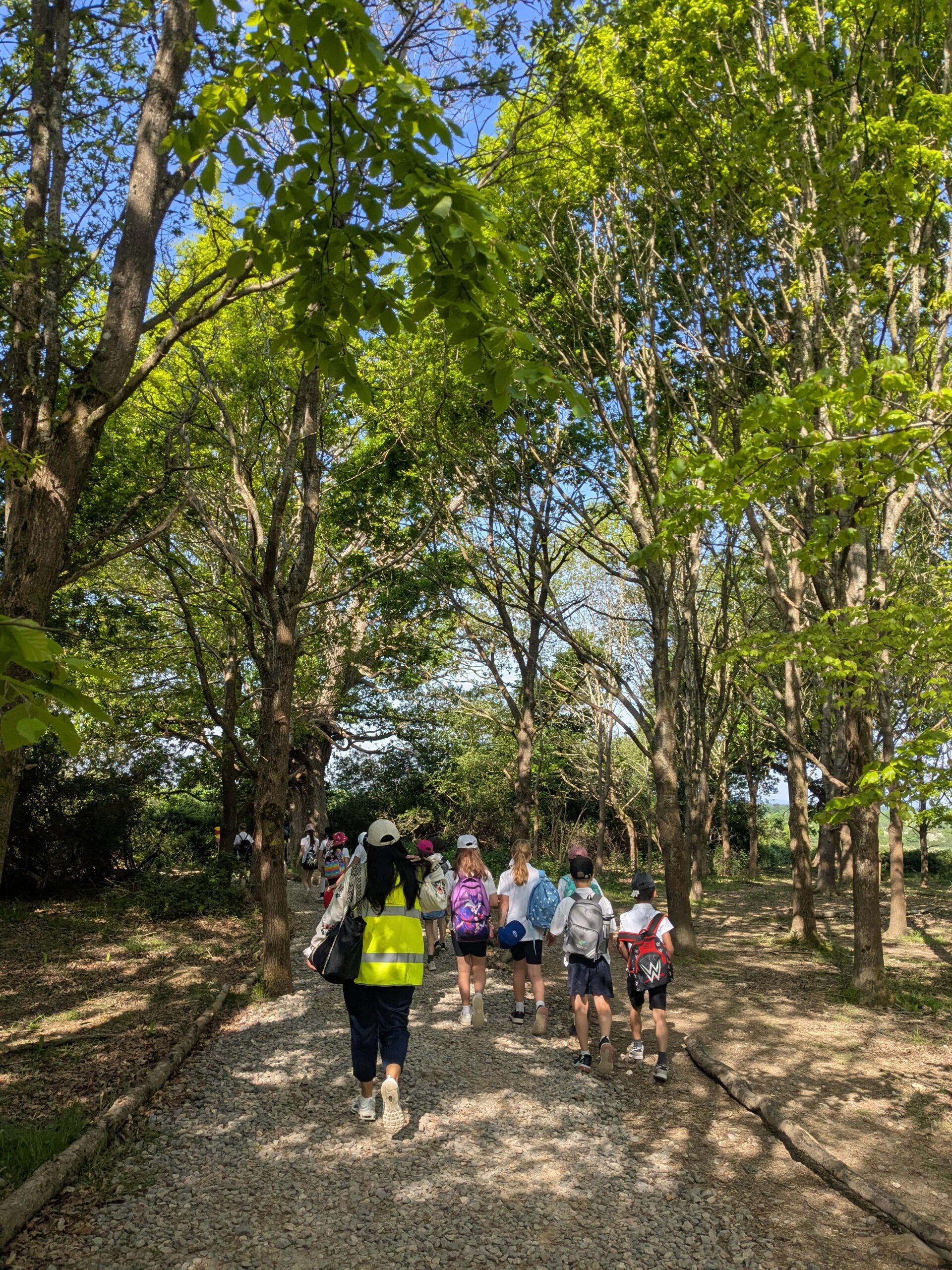 School visit to Knepp