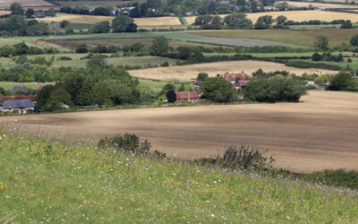 Mid-Tier Extensions Offer Relief for Farmers Amid Funding Uncertainty