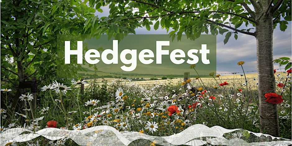 South Downs National Park Authority