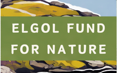 Securing a Future for Nature with Elgol Funding for Weald to Waves