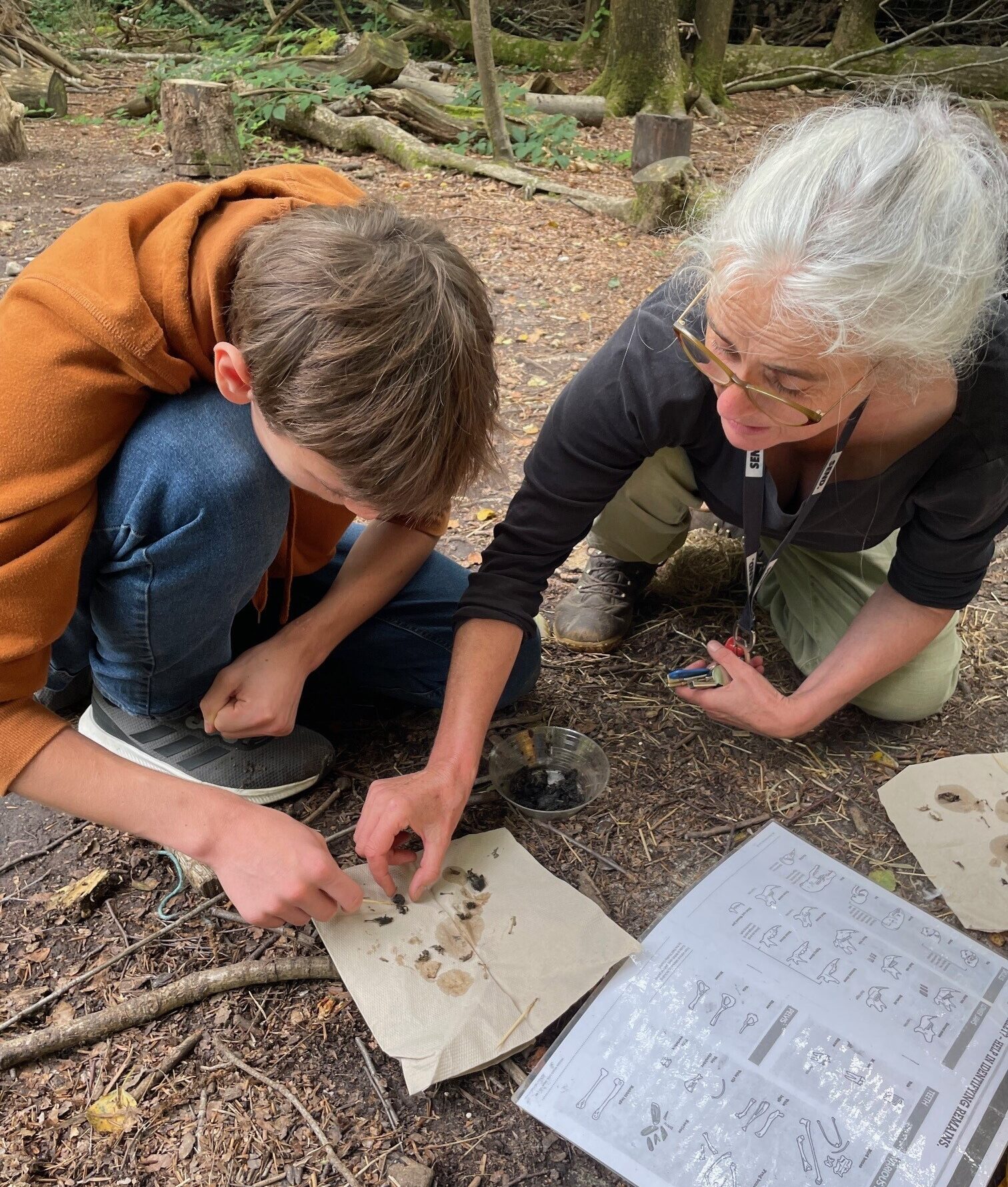 Looking at owl Pellets, Wild Futures