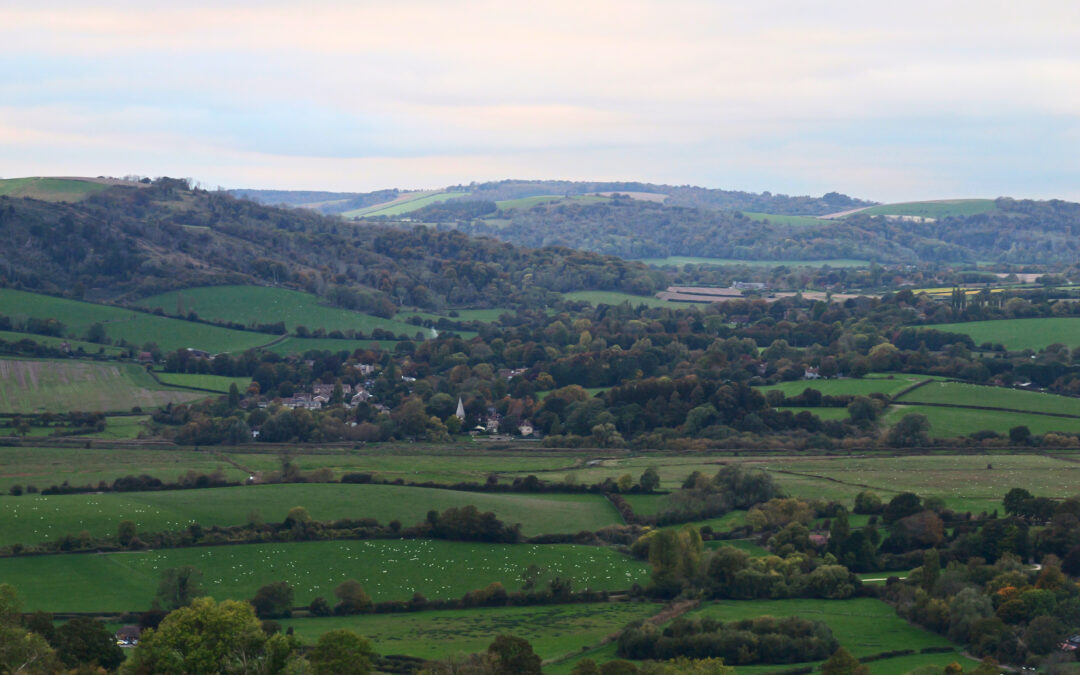 Amberley View Countryside, Tanya Forbes