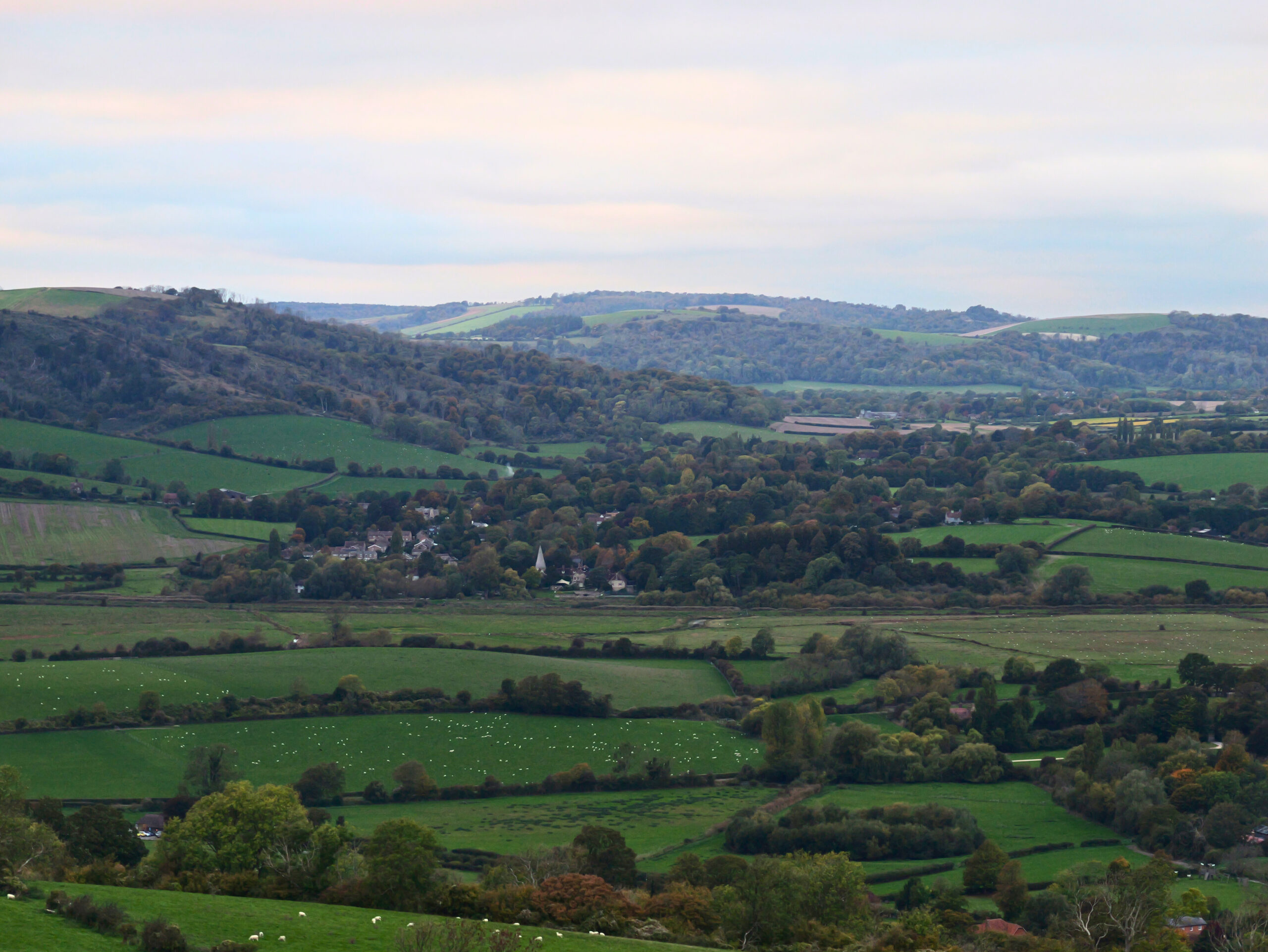 Amberley View Countryside, Tanya Forbes