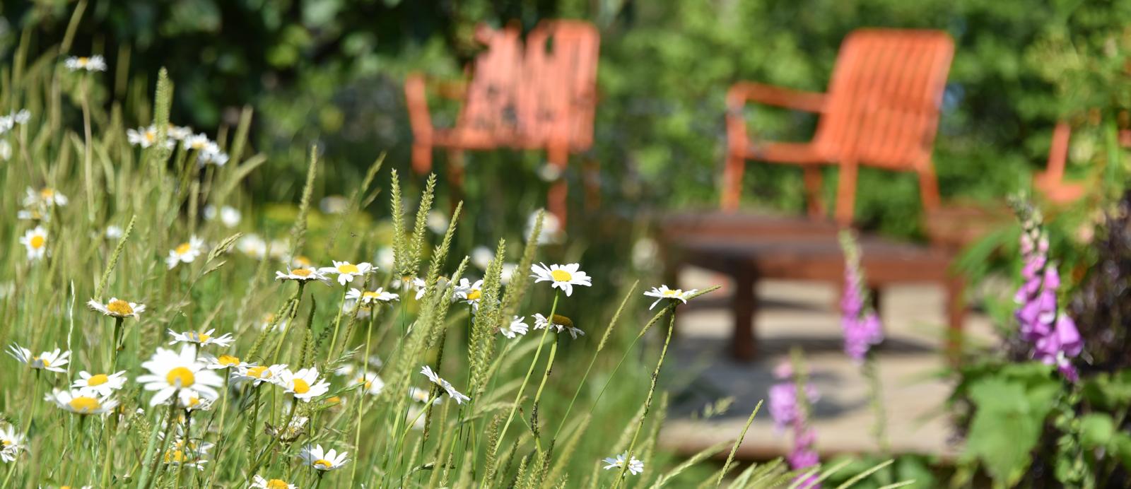 Andy's garden, by Charlie Waring