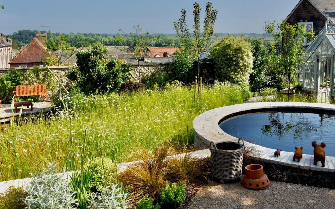 Welcoming wildlife into our sociable spaces! 