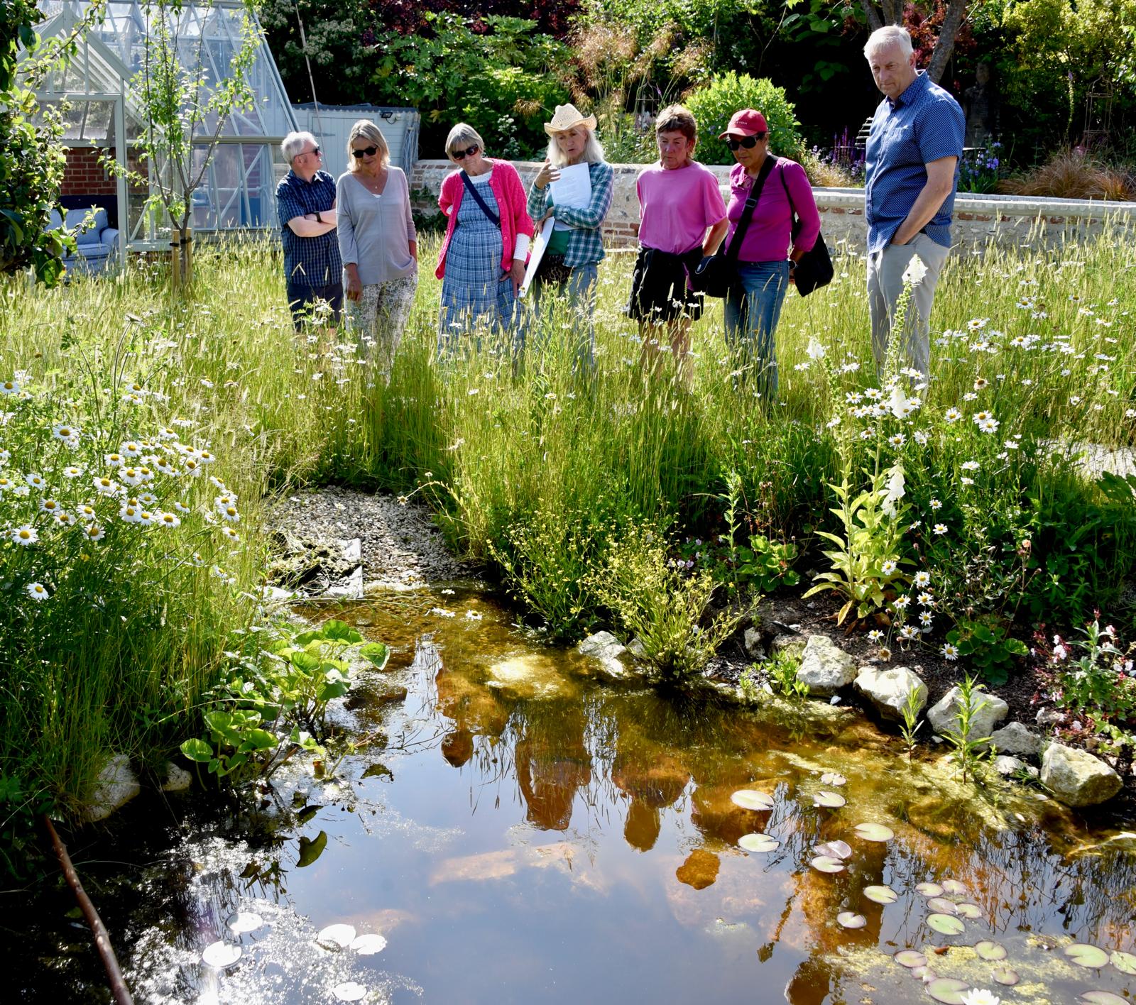 Wildlife pond in Andy's garden, by Charlie Waring