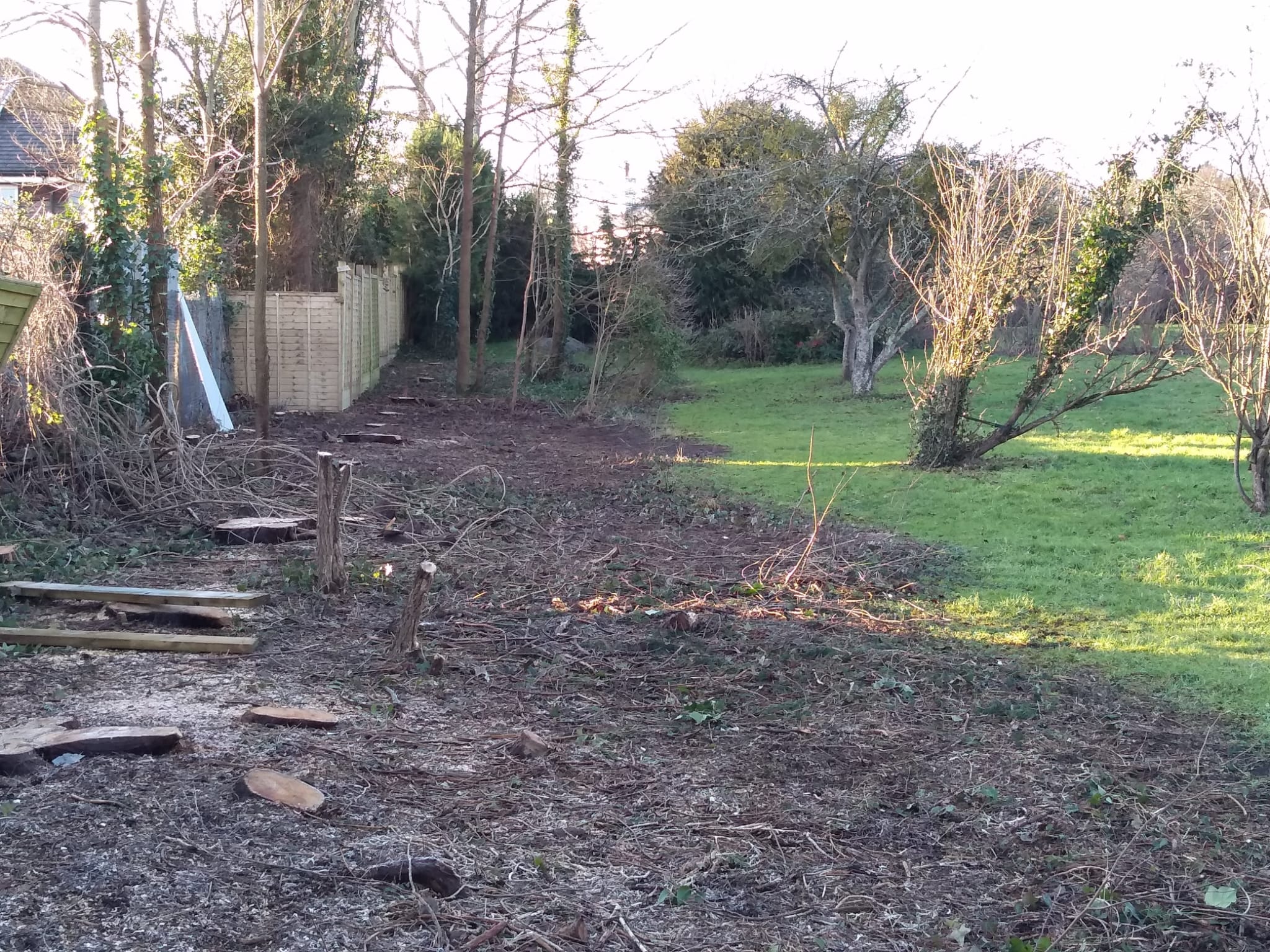 Garden wedge before, by Cathy Greenwell