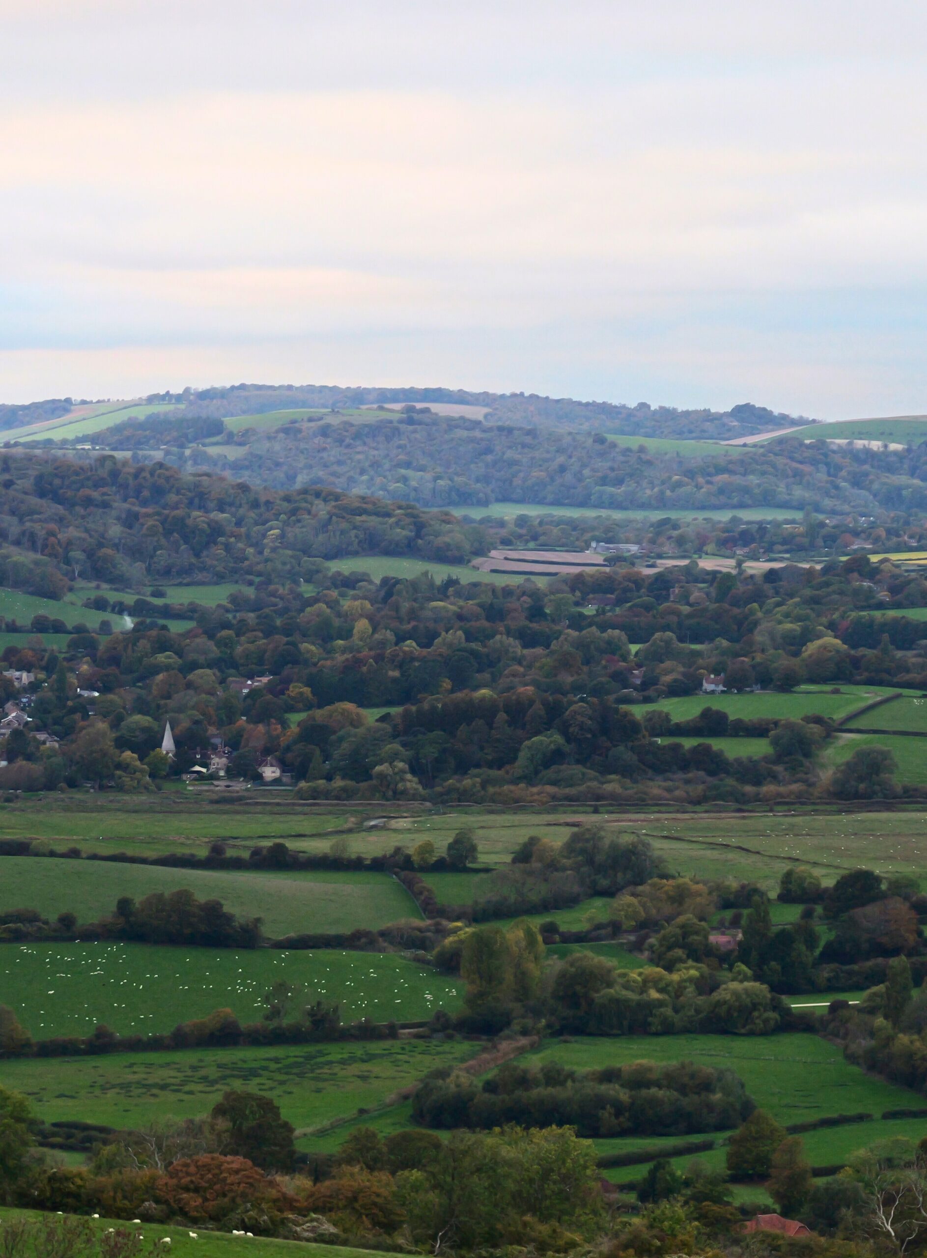 View of Amberley, by Tanya Forbes