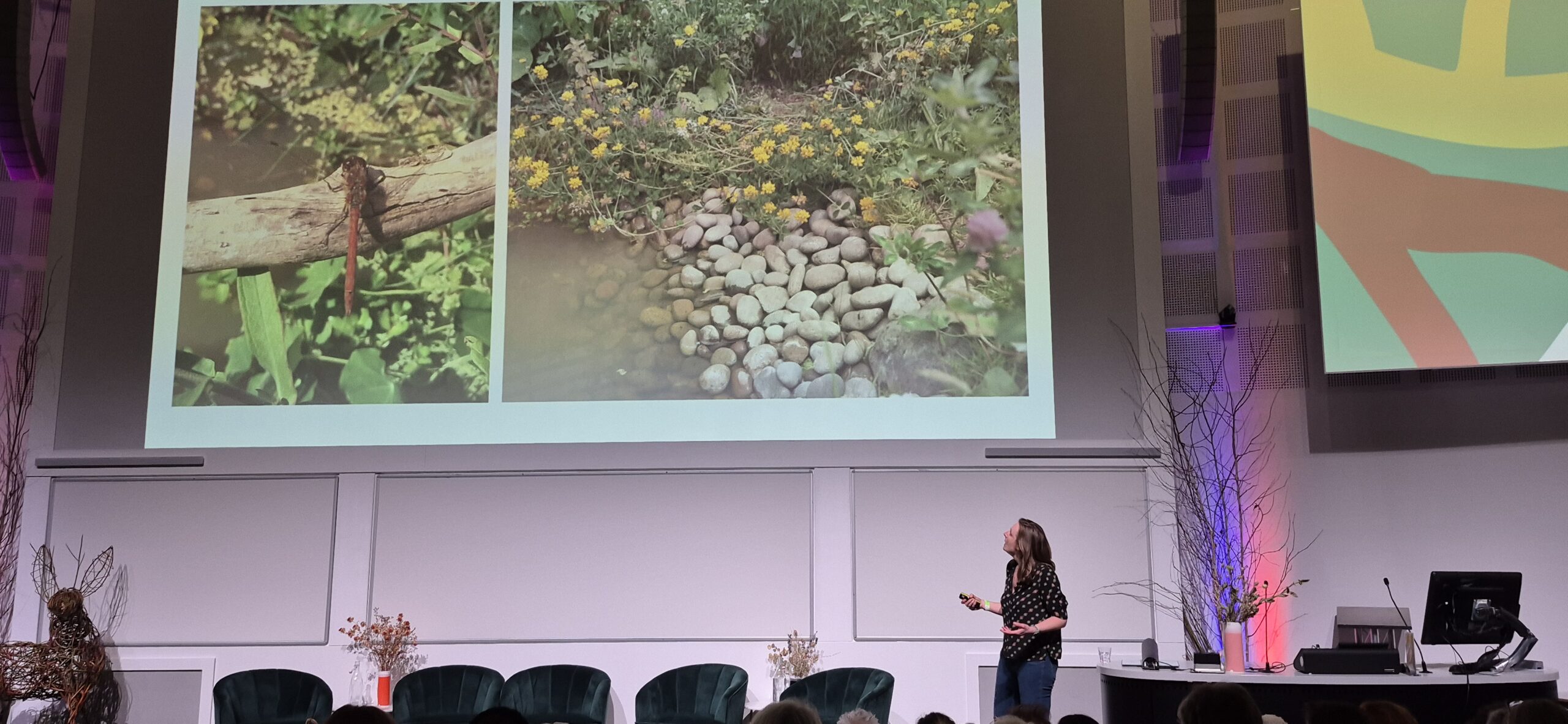 Kate Bradbury speaking at the Wilding Gardens Conference 2026, by Amy Hurn