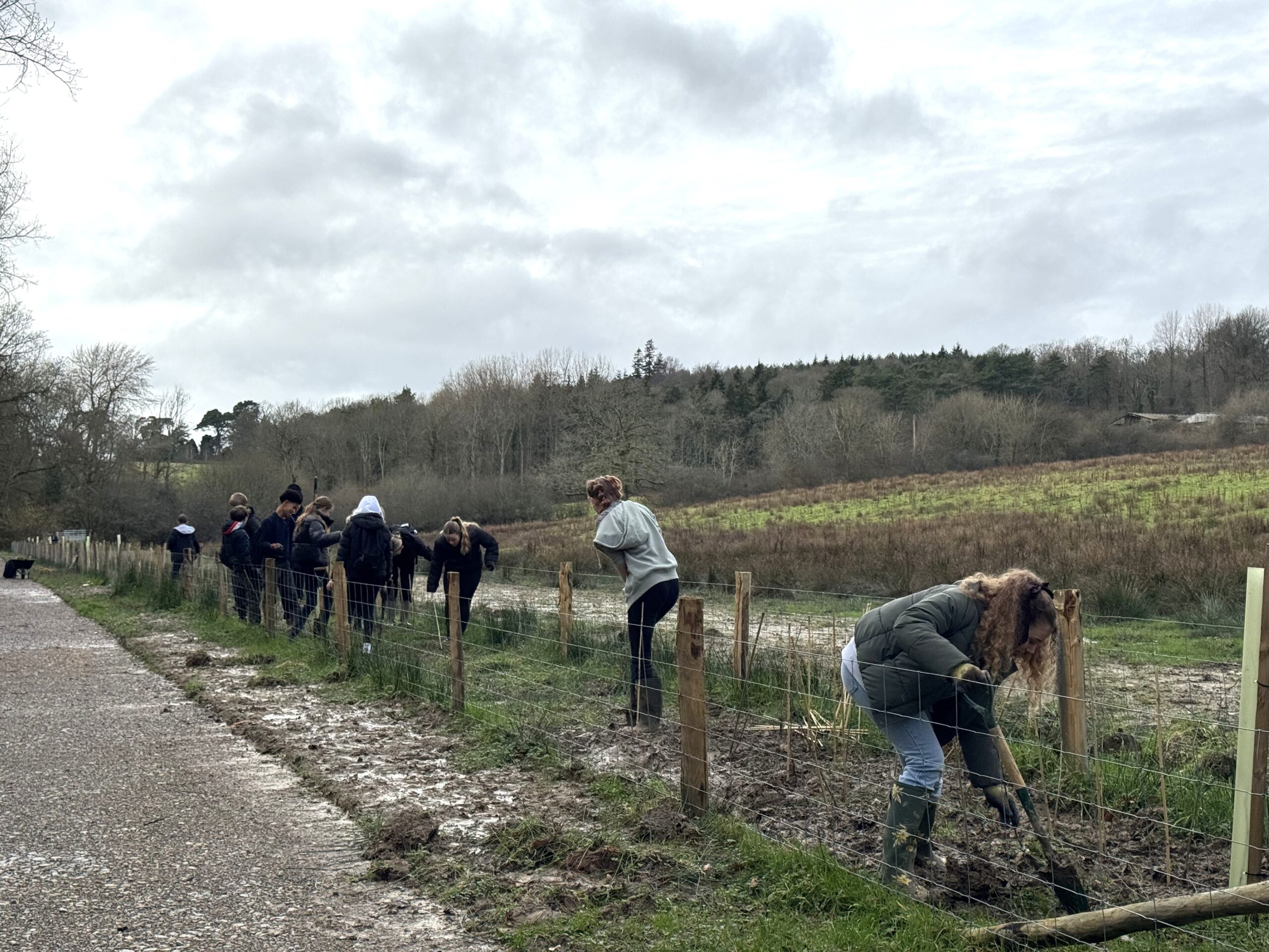 100 Mile Classroom Gravetye Hedge planting with Ifield Community College 