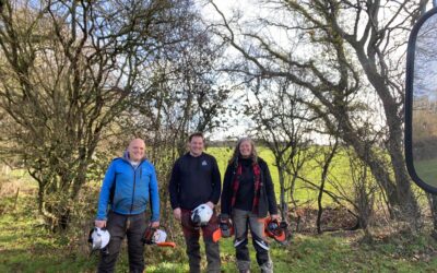 Hole Street Highway – A Corridor for Wildlife