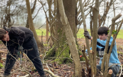 Connecting with nature through active participation