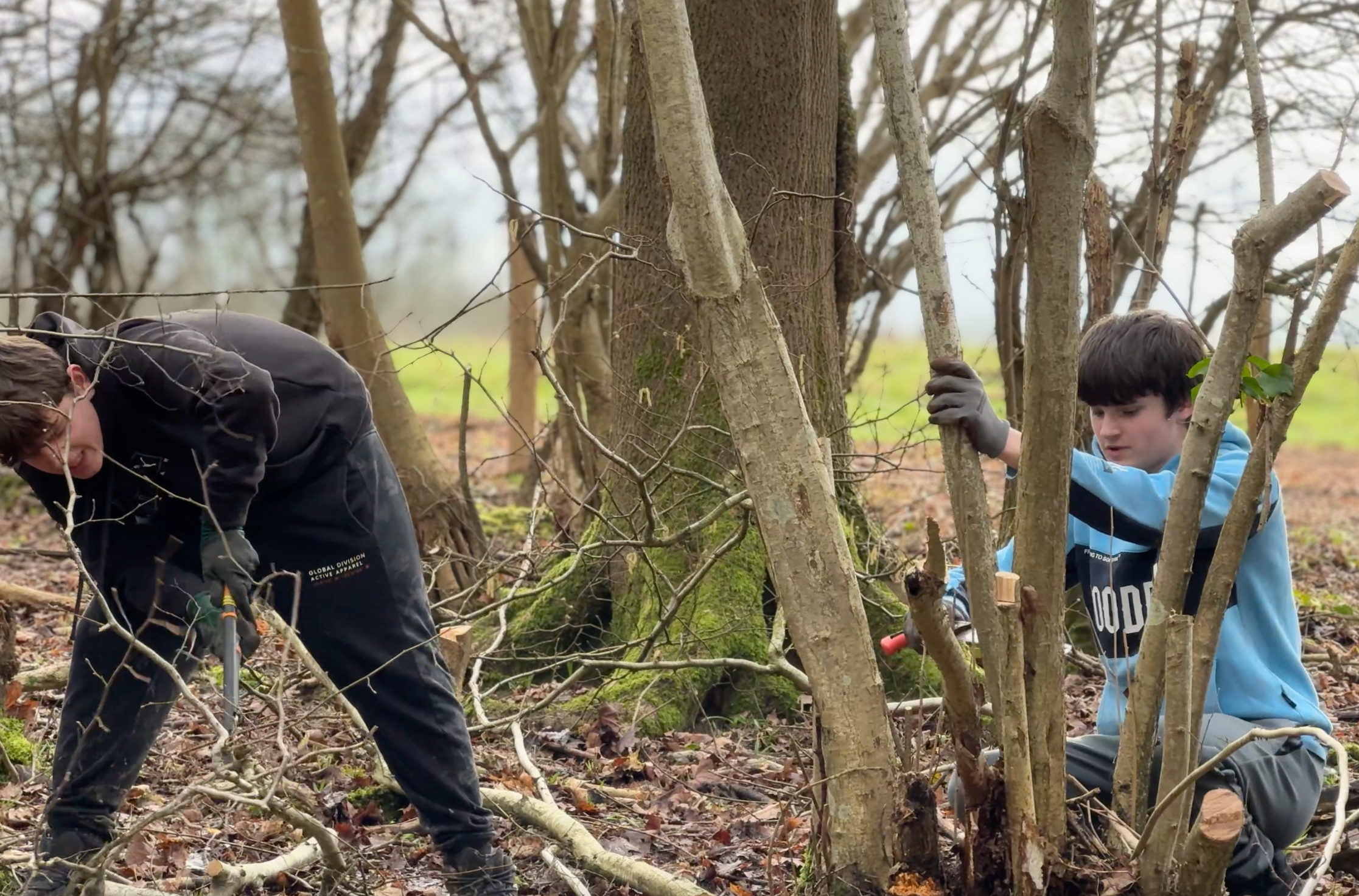 100 Mile Classroom Gravetye Hedge planting with Ifield Community College 100 Mile Classroom Gravetye Hedge planting with Ifield Community College
