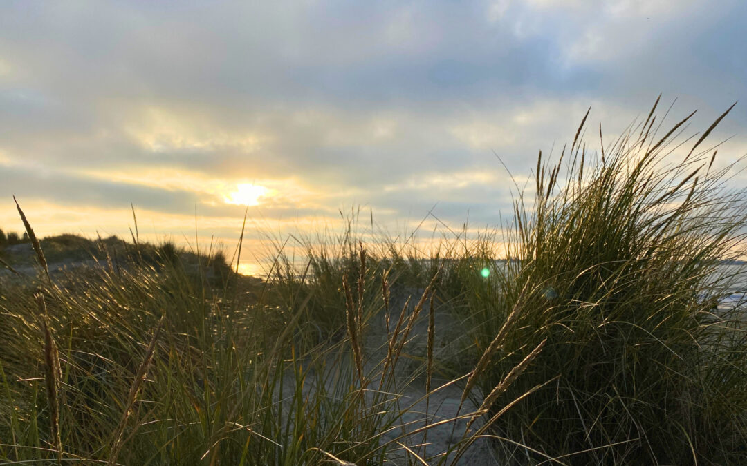 Session 1: Our Ocean – Habitats of the Sussex Bay