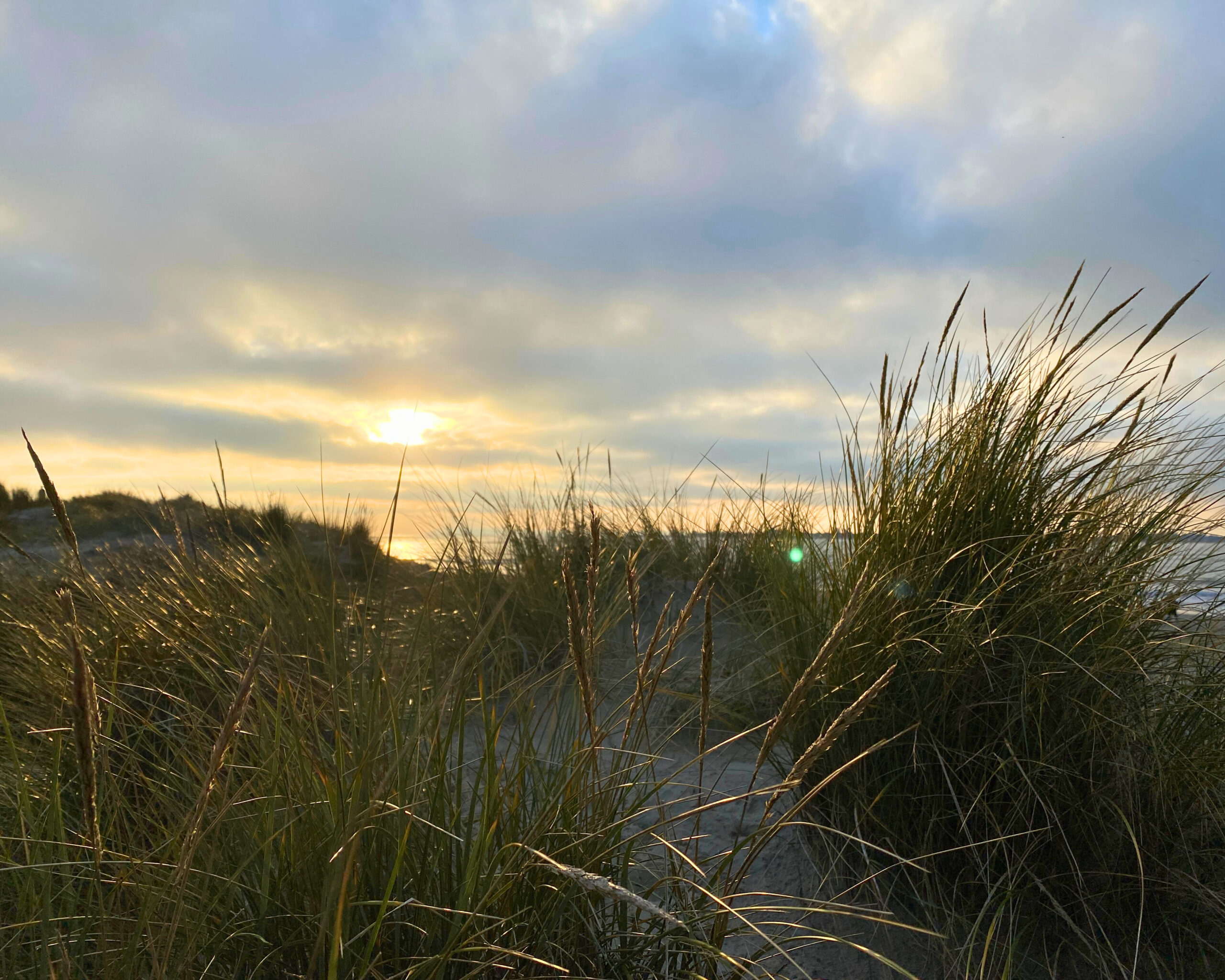 East-Head.-By-Ned-New-scaled