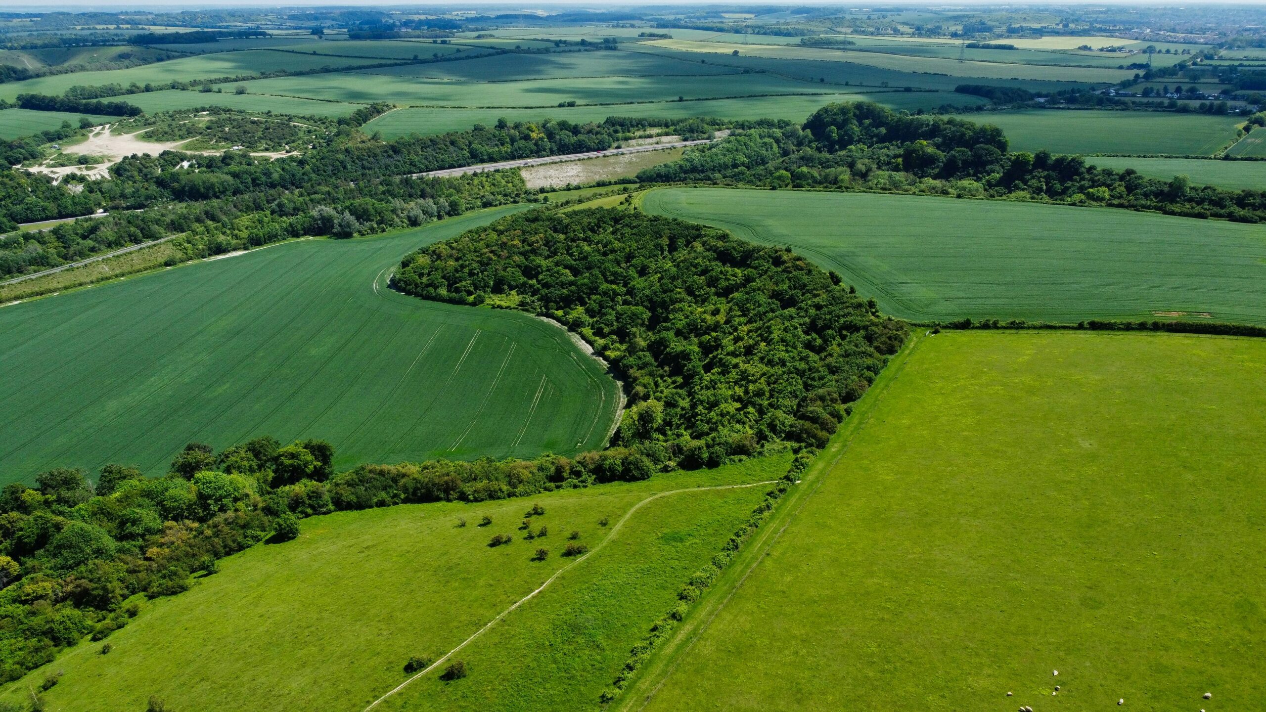 Aerial photograph of farmland parcels, Altaf Shah, Pexels