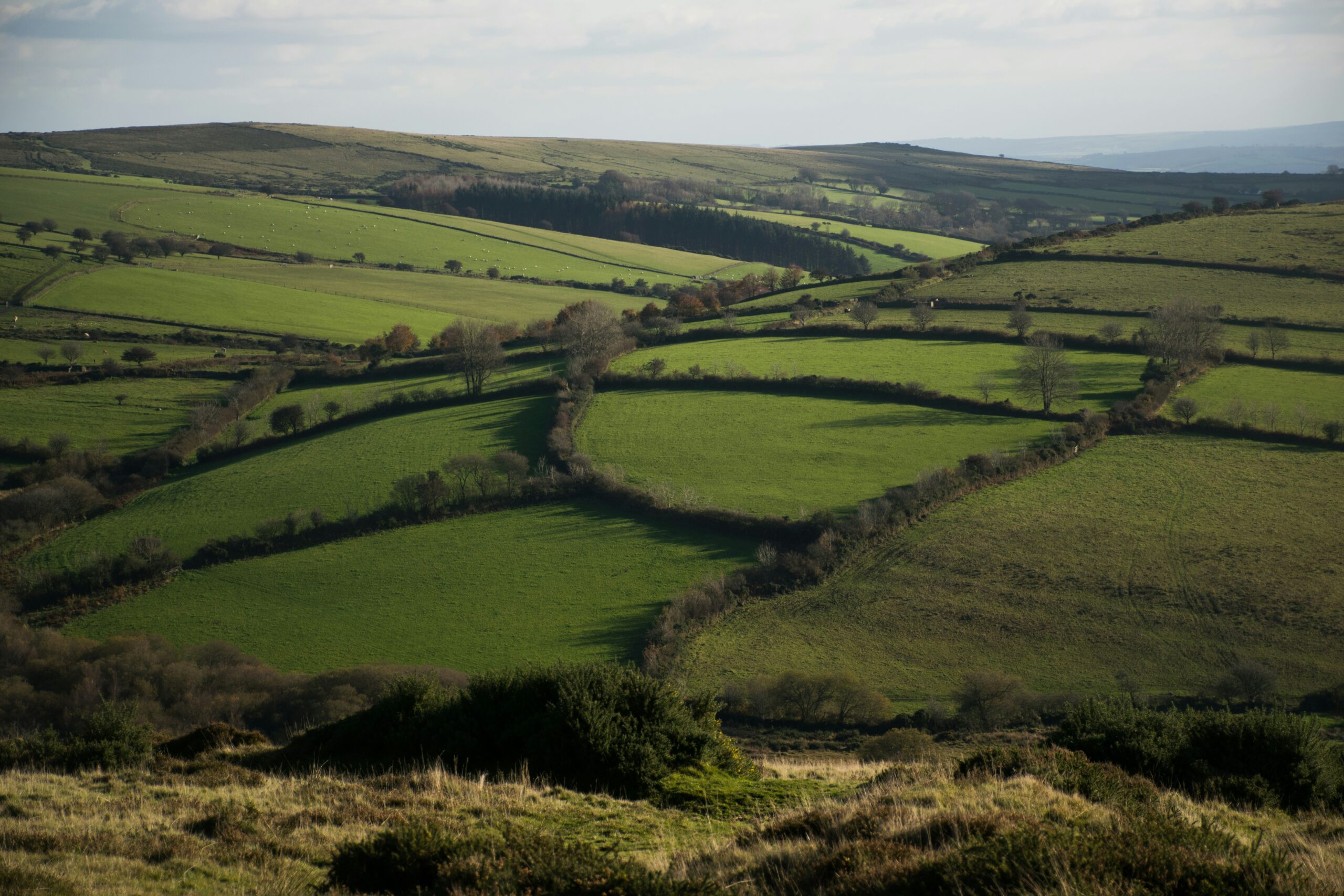 Sussex farmland, Veronica White, Unsplash Sussex farmland, Veronica White, Unsplash