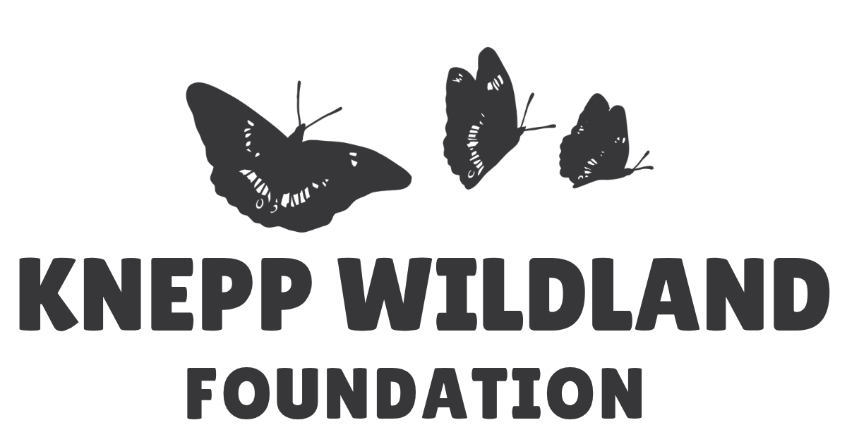 Knepp Wildland Foundation Logo