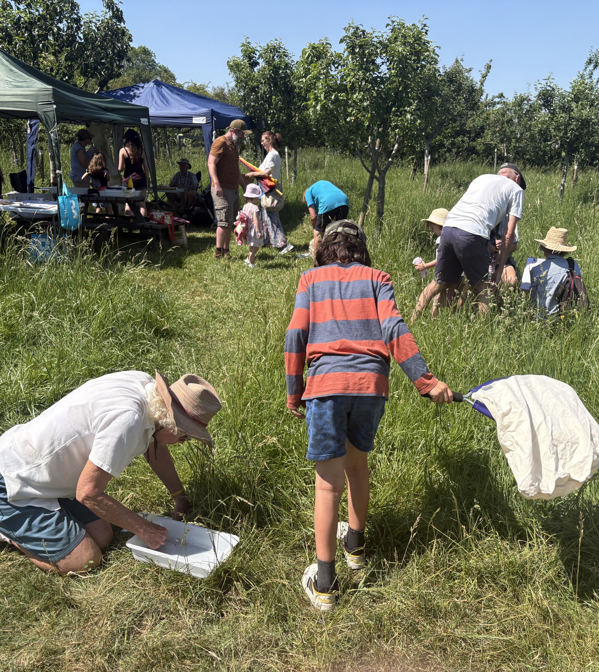 Greening Steyning Festival Bioblitz May 2026, Roger Brown