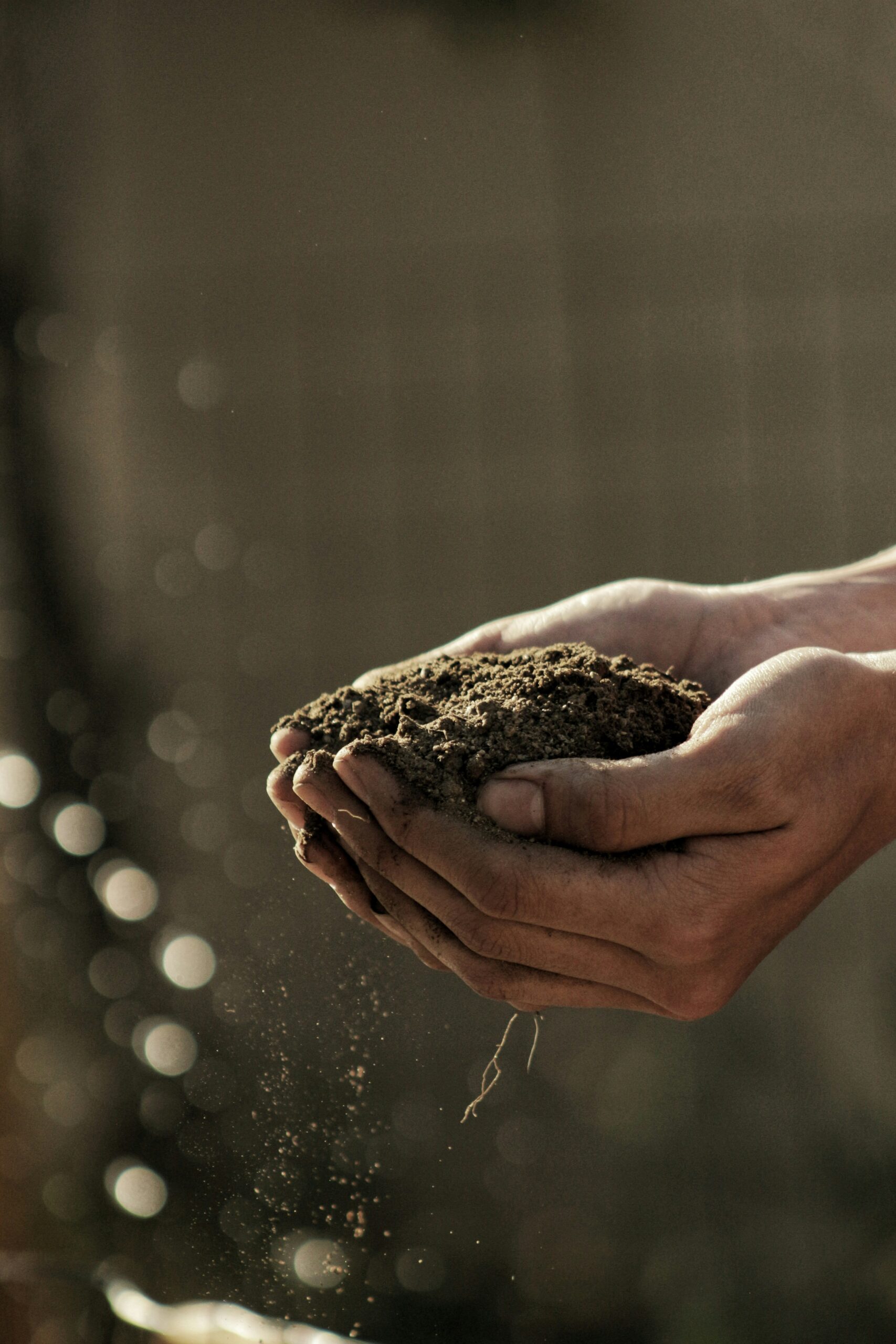 Soil, Gabriel Jimenez, Unsplash