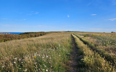 Starting at the School Gate: A New Path for Sussex Children