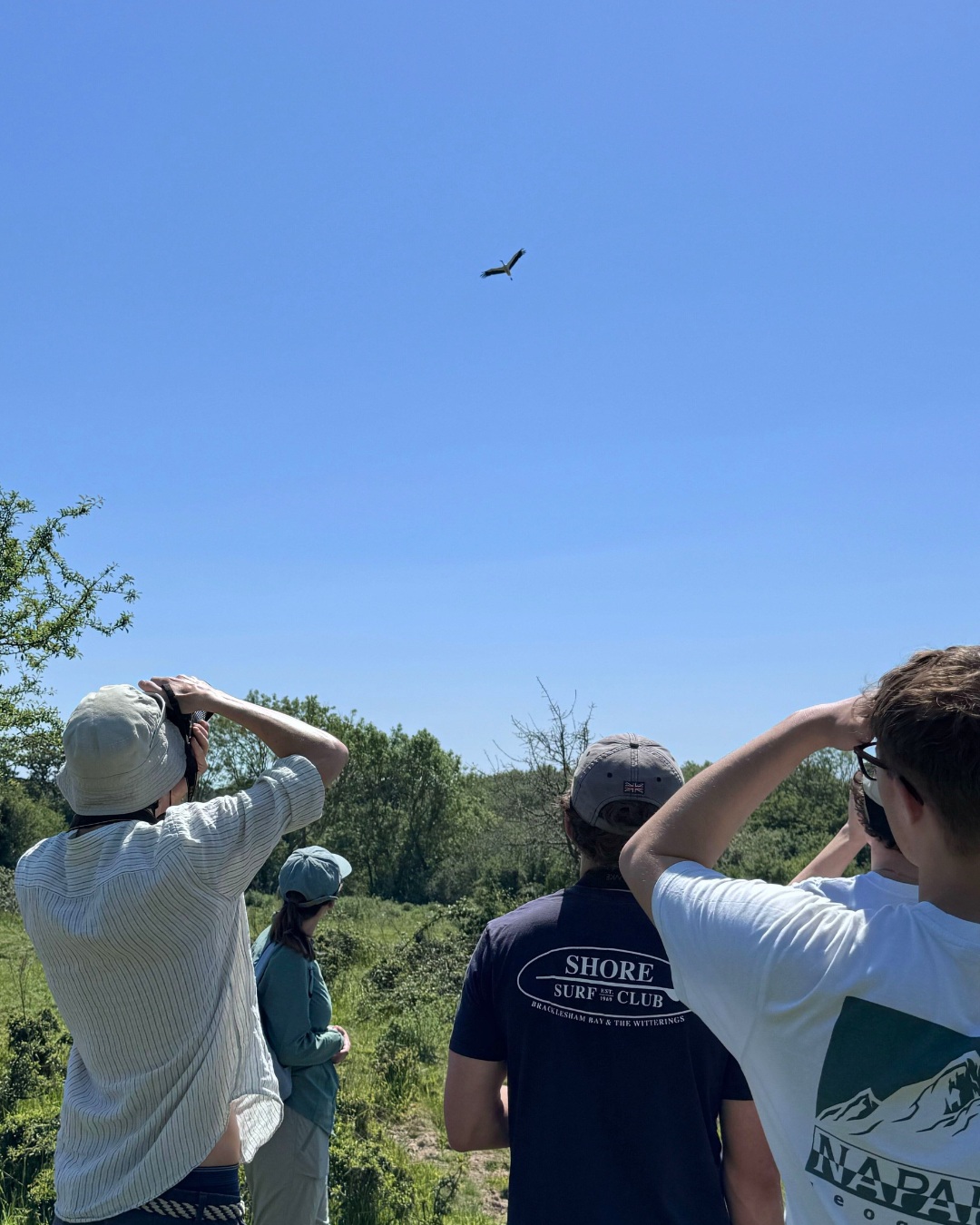 Growing Futures - Wildlife spotting at Knepp © RBG Kew