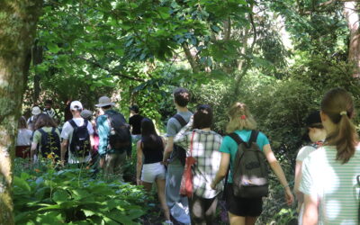 Growing Futures: young people explore careers in nature