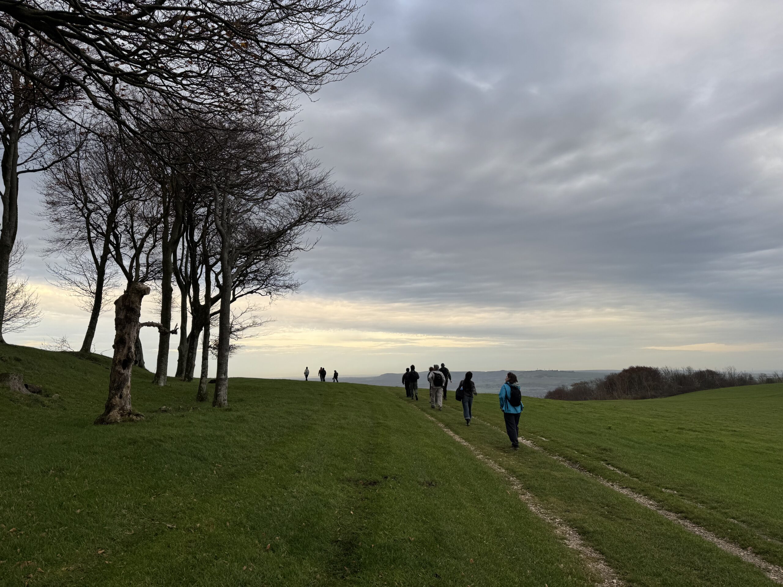 Wiston and Knepp University Visit, Holly Tuppen