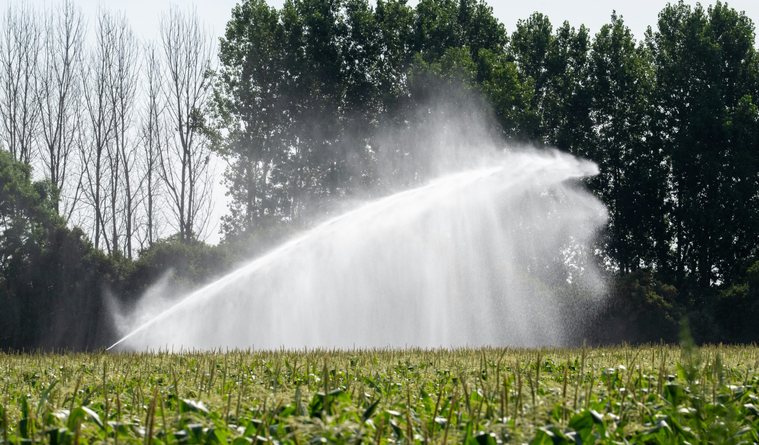 Irrigation on farmland, Bob Brewer, Unsplash