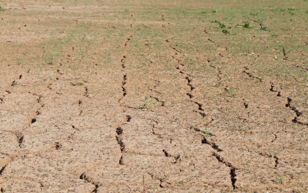 Cracked dry ground, Rol Estrell, Pexels