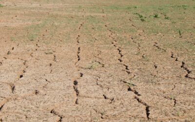 New Drought Support Announced for Farmers