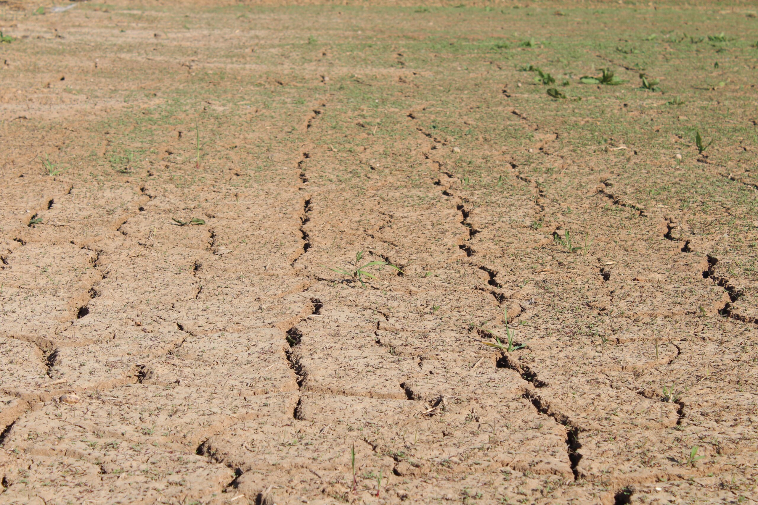 Cracked dry ground, Rol Estrell, Pexels Cracked dry ground, Rol Estrell, Pexels