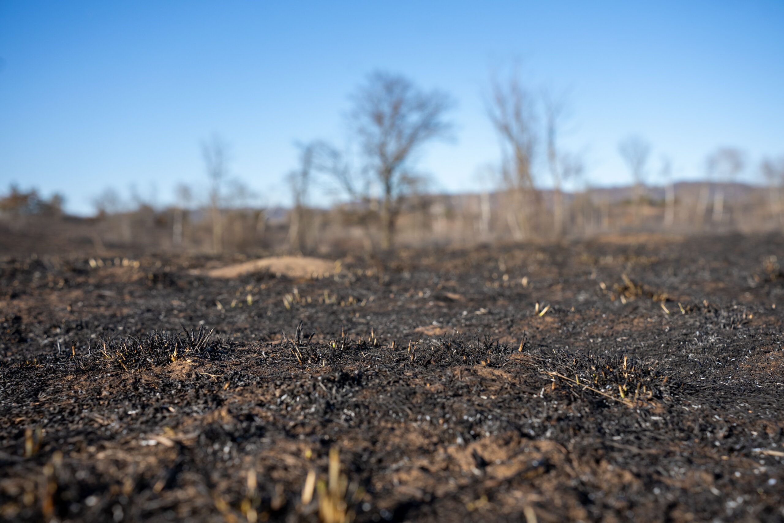 Wildfire, Tom Fisk, Pexels